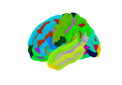 Loading and plotting of a cortical surface atlas