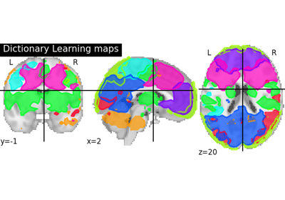 Regions extraction using Dictionary Learning and functional connectomes