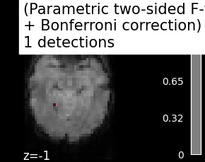 plot haxby mass univariate