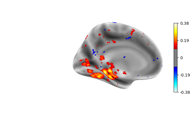 Accuracy map, left hemisphere