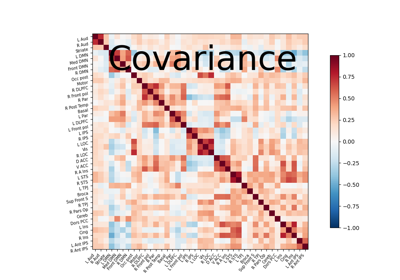 Computing a connectome with sparse inverse covariance