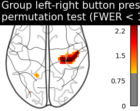 plot second level one sample test