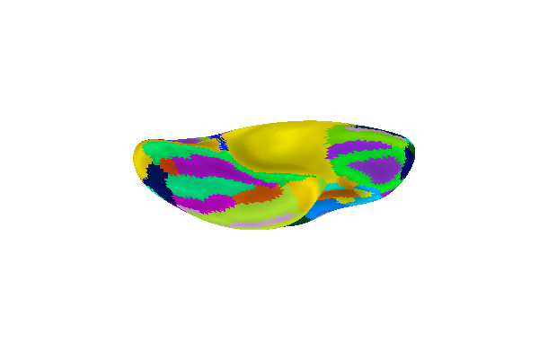 plot surf atlas