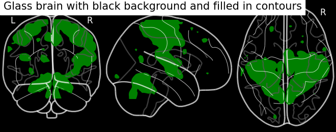 plot demo glass brain extensive