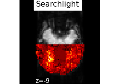 Searchlight analysis of face vs house recognition