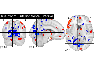 NeuroVault cross-study ICA maps.