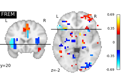 FREM on Jimura et al "mixed gambles" dataset.