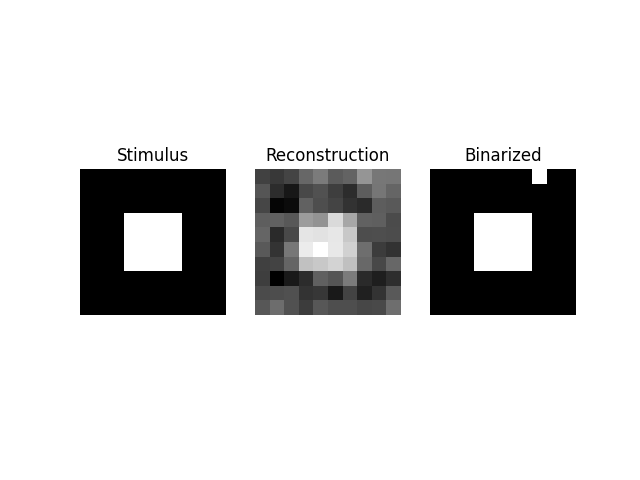 Stimulus, Reconstruction, Binarized