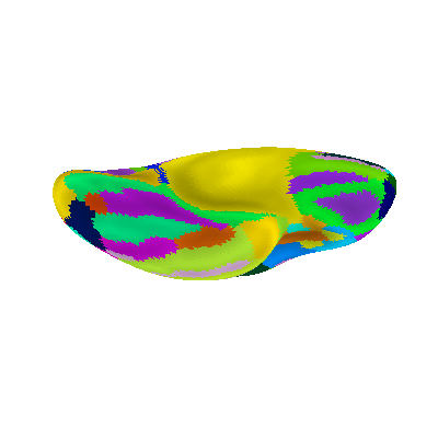 plot surf atlas