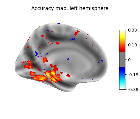 Accuracy map, left hemisphere