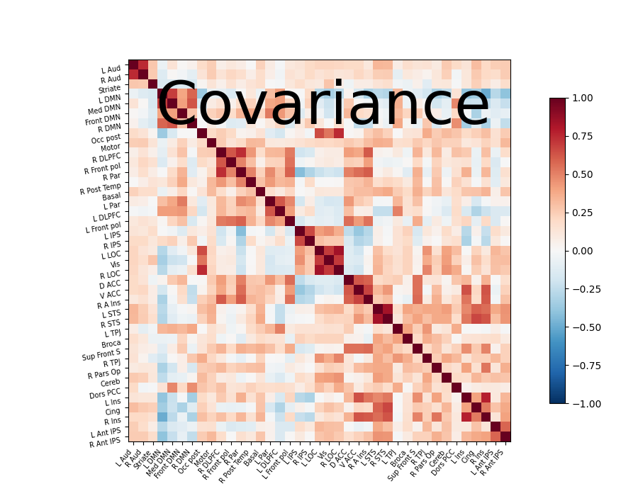 plot inverse covariance connectome