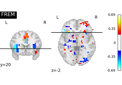 FREM on Jimura et al "mixed gambles" dataset.