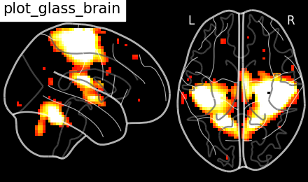 plot demo glass brain extensive