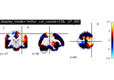 More plotting tools from nilearn