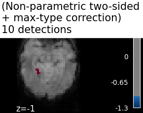 plot haxby mass univariate