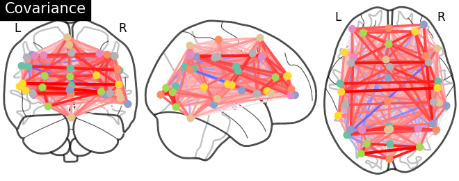 plot inverse covariance connectome