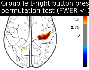 plot second level one sample test