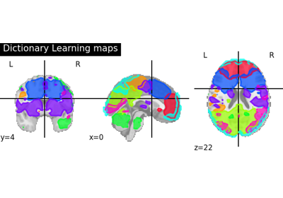 Regions extraction using dictionary learning and functional connectomes