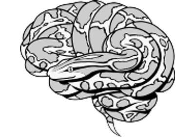 Decoding of a dataset after GLM fit for signal extraction