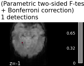 plot haxby mass univariate