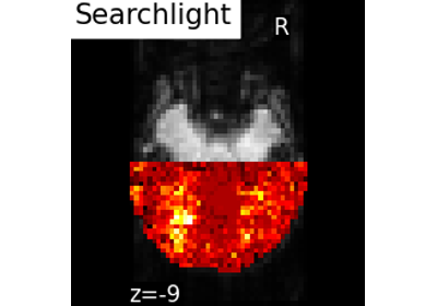 Searchlight analysis of face vs house recognition