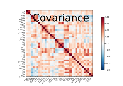 Computing a connectome with sparse inverse covariance