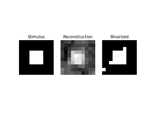 Stimulus, Reconstruction, Binarized