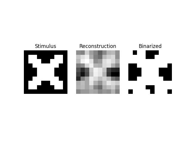 Stimulus, Reconstruction, Binarized