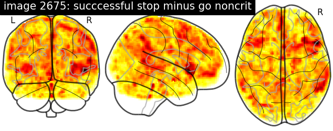 plot neurovault meta analysis