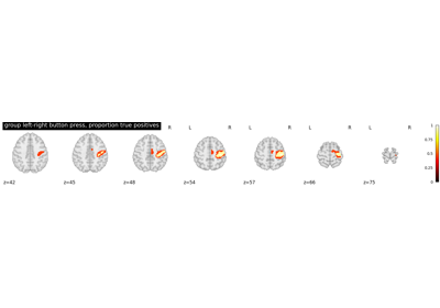 Second-level fMRI model: true positive proportion in clusters