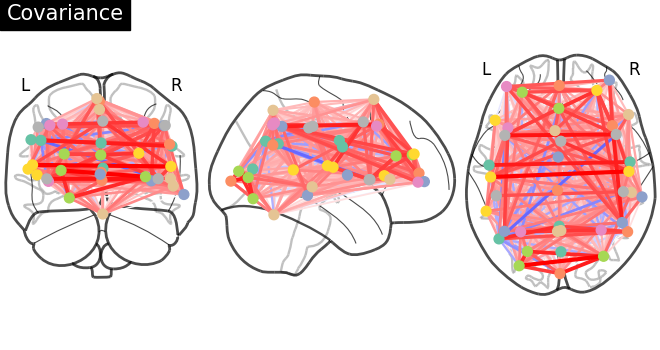 plot inverse covariance connectome