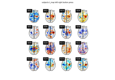 Second-level fMRI model: one sample test