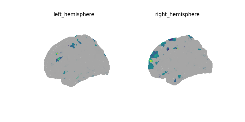 left_hemisphere, right_hemisphere