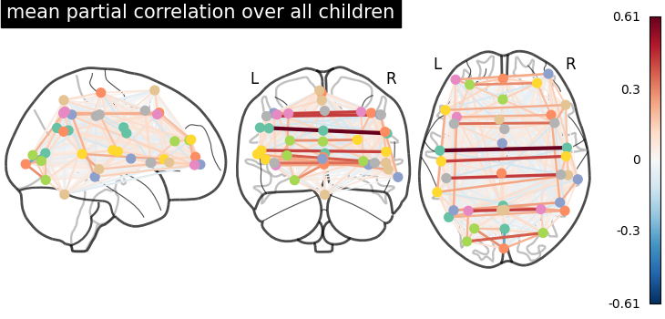 plot group level connectivity