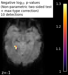 plot haxby mass univariate