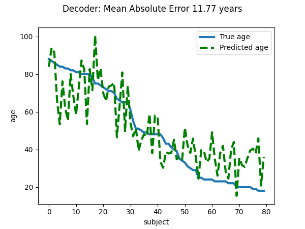 Decoder: Mean Absolute Error 11.77 years