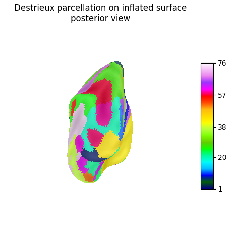 Destrieux parcellation on inflated surface posterior view