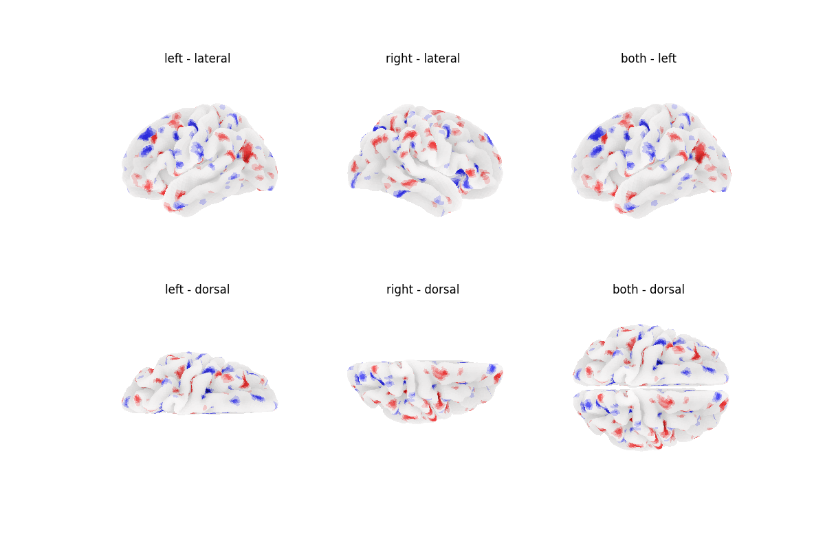 left - lateral, right - lateral, both - left, left - dorsal, right - dorsal, both - dorsal