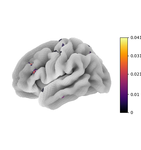 plot surface image and maskers