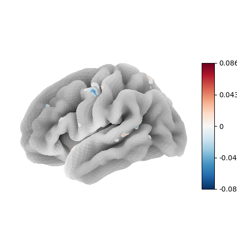 plot surface image and maskers