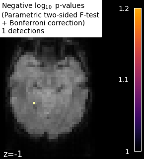 ../_images/sphx_glr_plot_haxby_mass_univariate_001.png