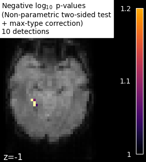 plot haxby mass univariate
