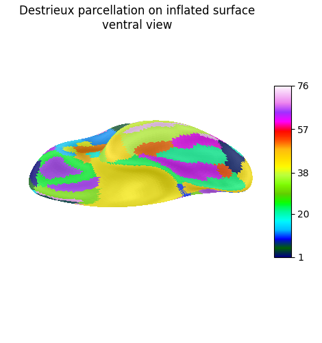 Destrieux parcellation on inflated surface ventral view