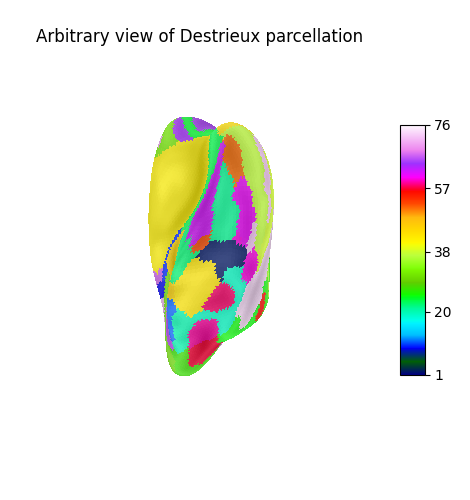 Arbitrary view of Destrieux parcellation