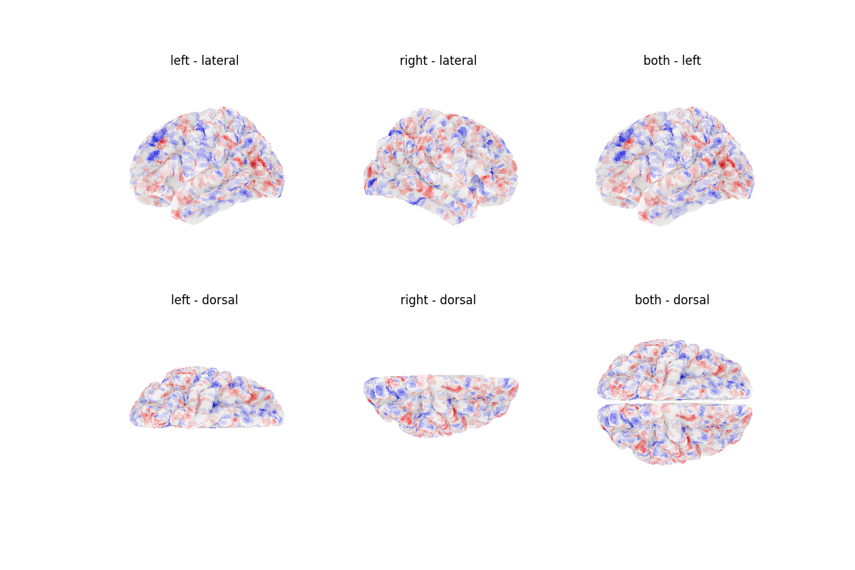 left - lateral, right - lateral, both - left, left - dorsal, right - dorsal, both - dorsal