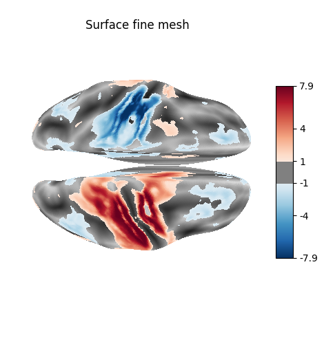Surface fine mesh