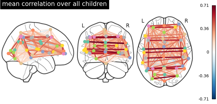 plot group level connectivity