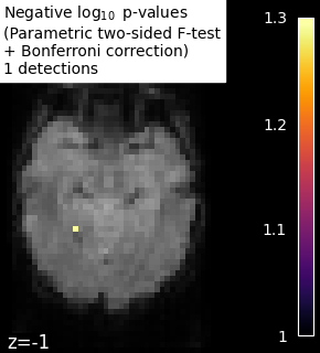 ../_images/sphx_glr_plot_haxby_mass_univariate_001.png