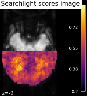 ../_images/sphx_glr_plot_haxby_searchlight_001.png