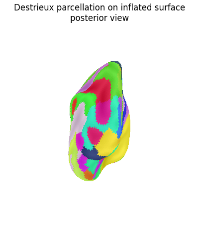 Destrieux parcellation on inflated surface posterior view